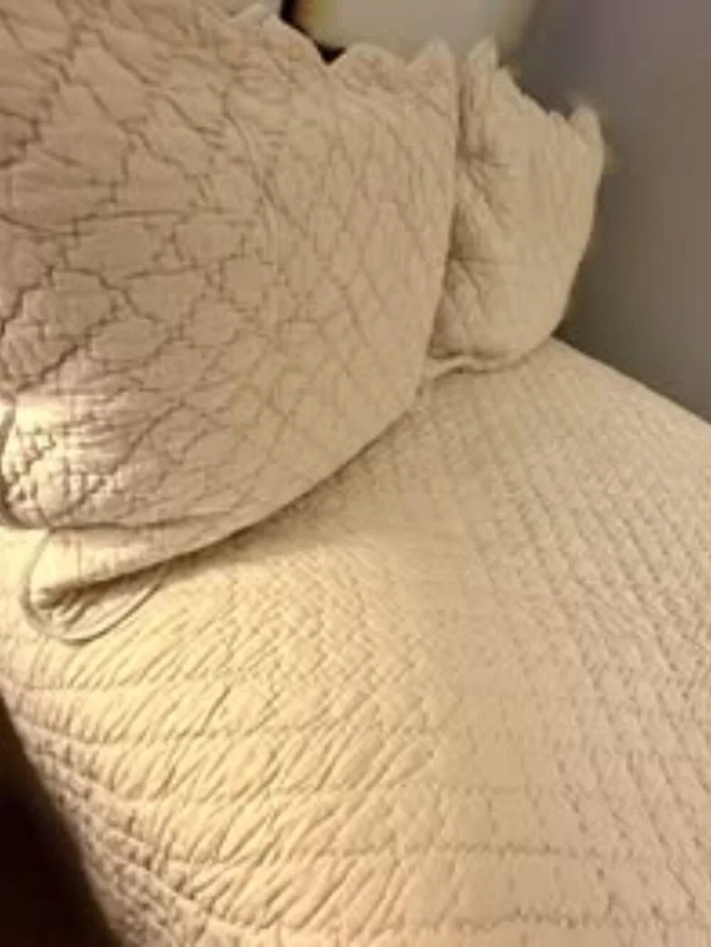 Company Store Full/Queen Comforter and Standard Pillow Shams